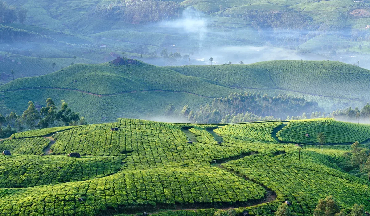 Munnar